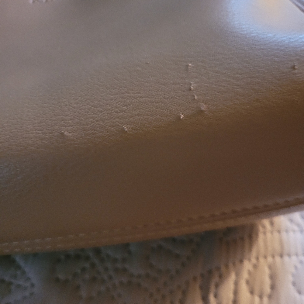Purse/Backpack - Picture 3 of 3